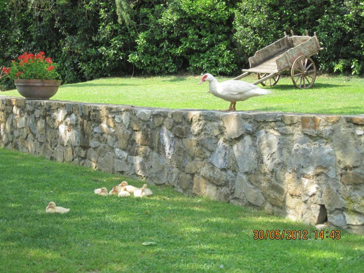 Agriturismo Conca Verde Скандичи Екстериор снимка