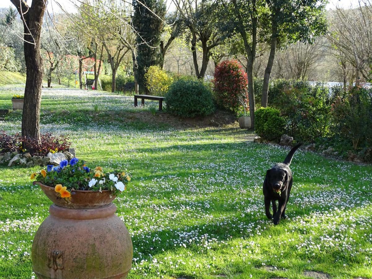Agriturismo Conca Verde Скандичи Екстериор снимка